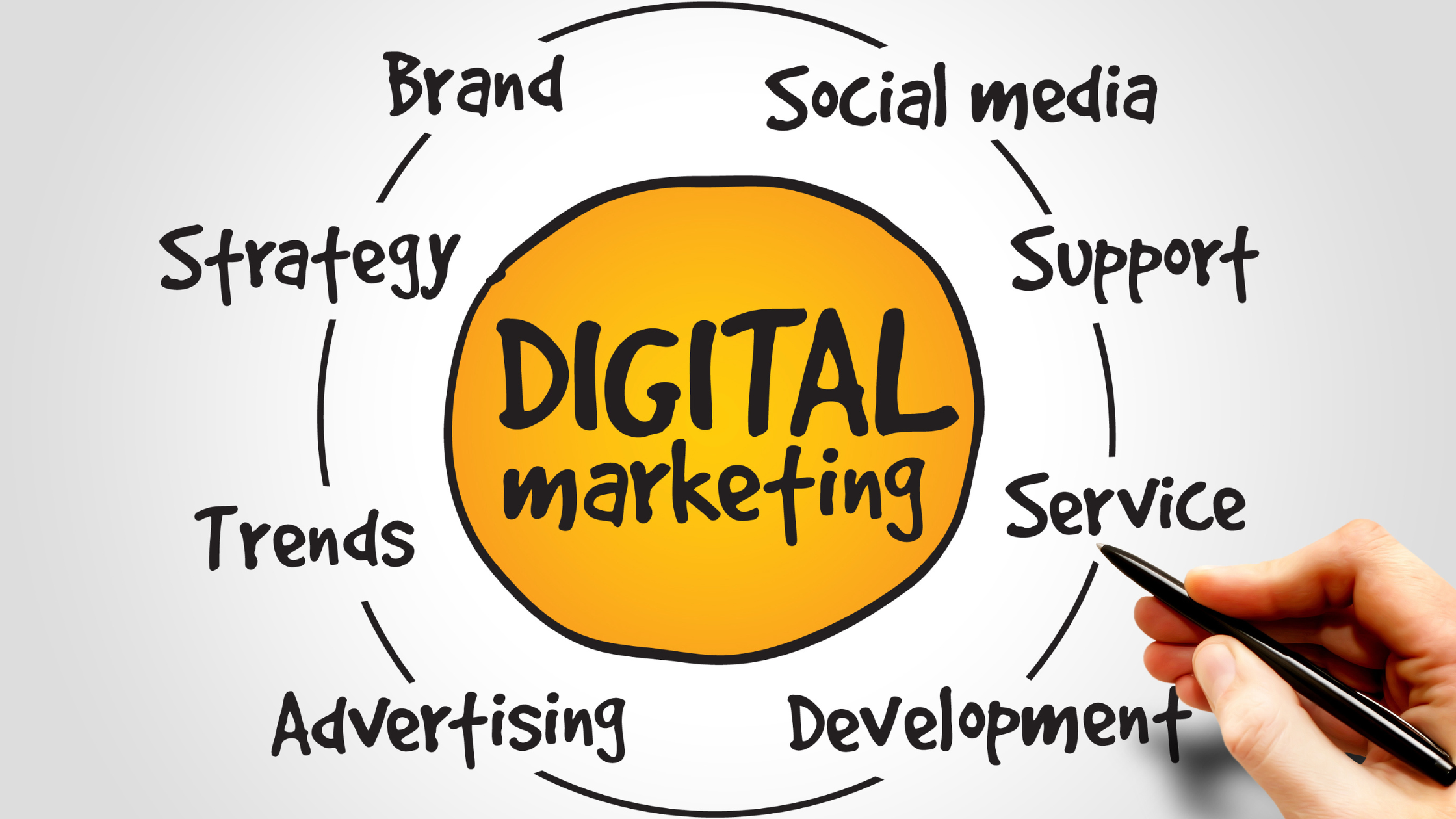 What to look for in an SEO company?